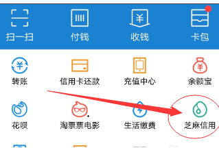 支付寶工作信息可以隨便填嗎